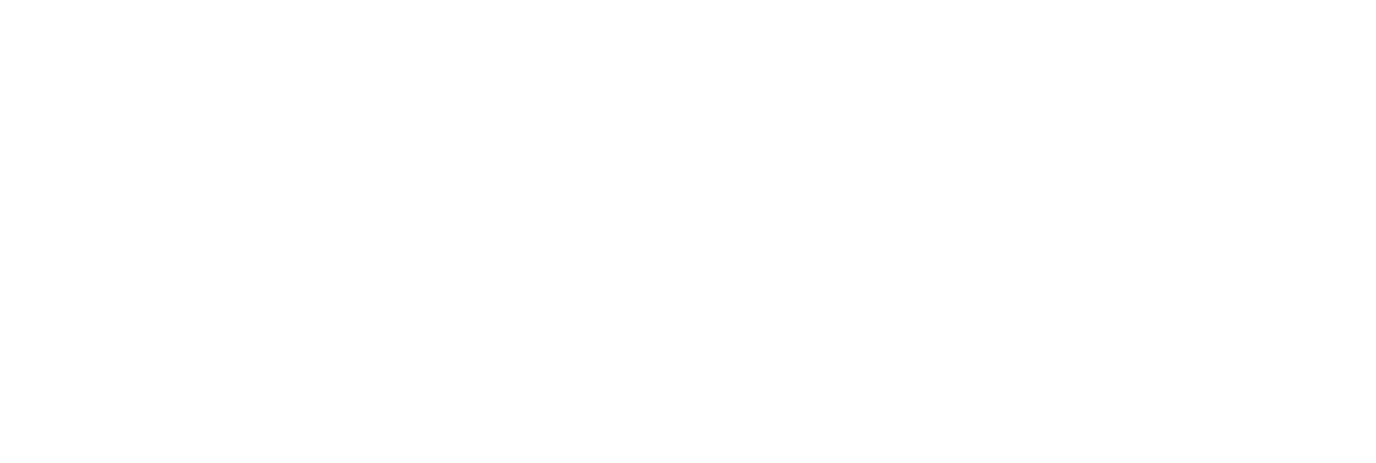 Computer Arithmetic